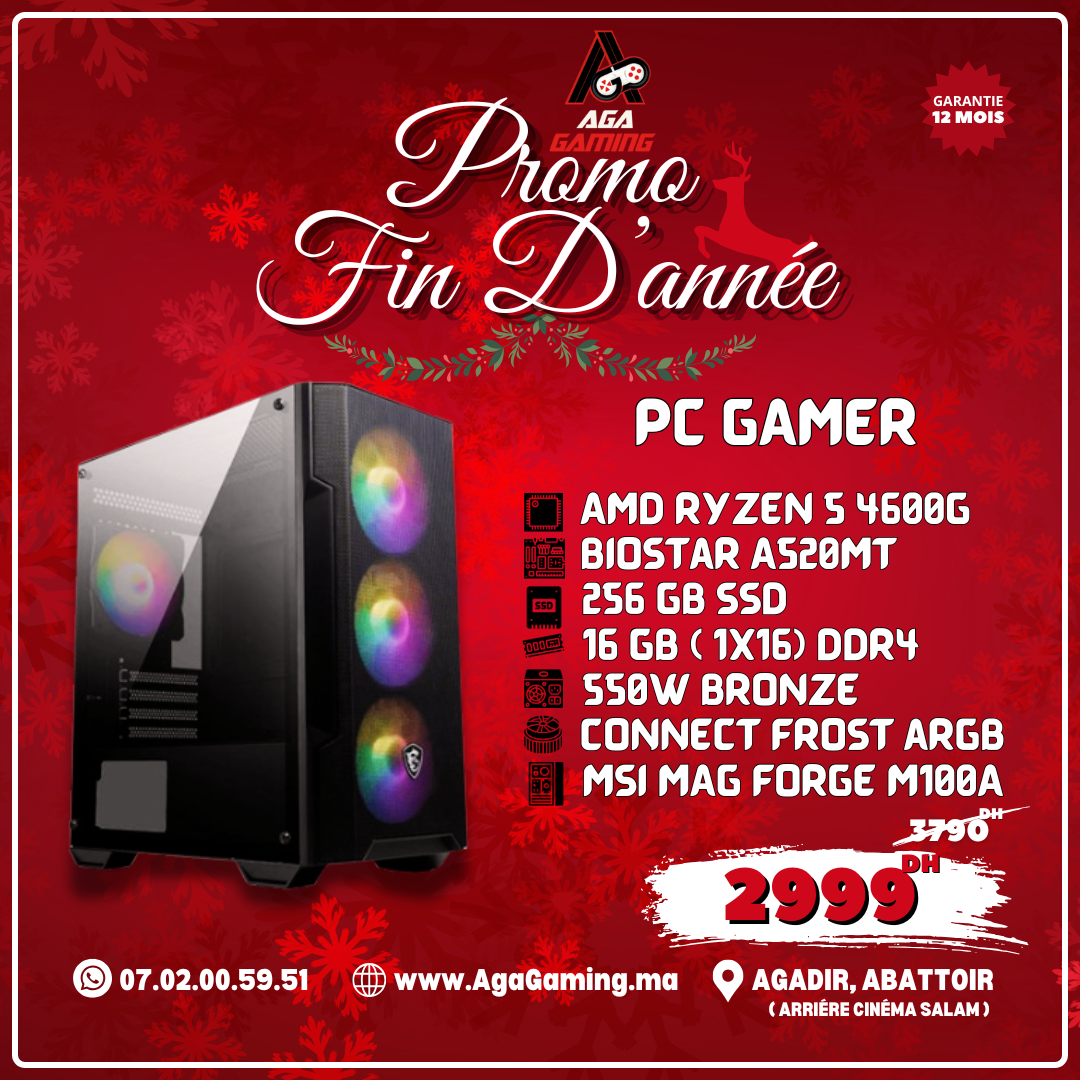 PC Gamer Ryzen 5 4600G/16Gb DDR4/256SSD PC Gamer Ryzen 5 4600G/16Gb DDR4/256SSD